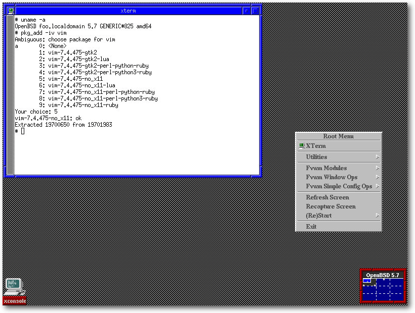 openbsd_fvwm.png